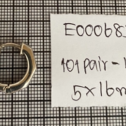 Earrings 683