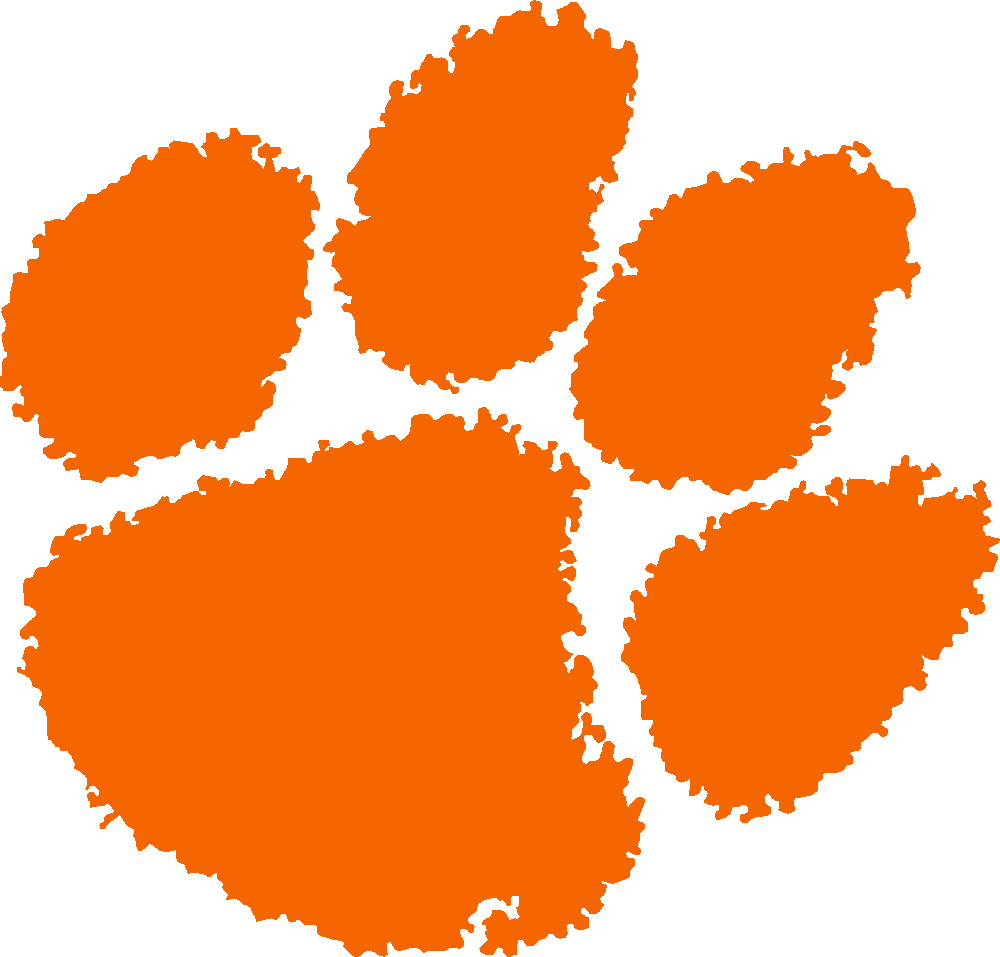 Clemson Tigers stencil, painted in 1 color