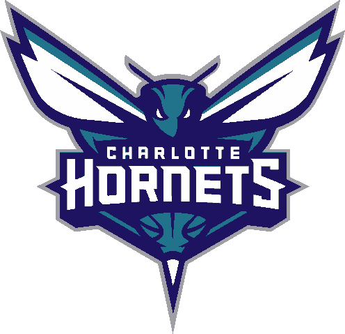 Charlotte Hornets stencil, painted in 4 colors