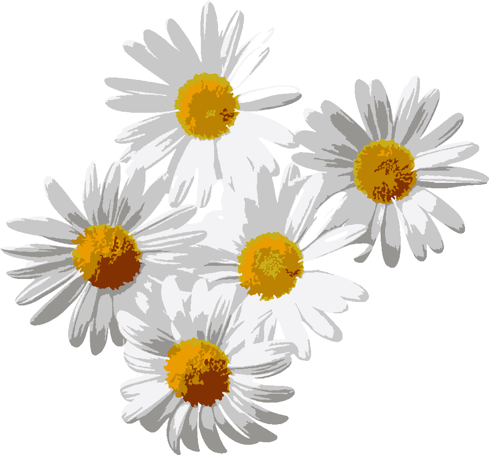 Daisies stencil, painted in 7 colors