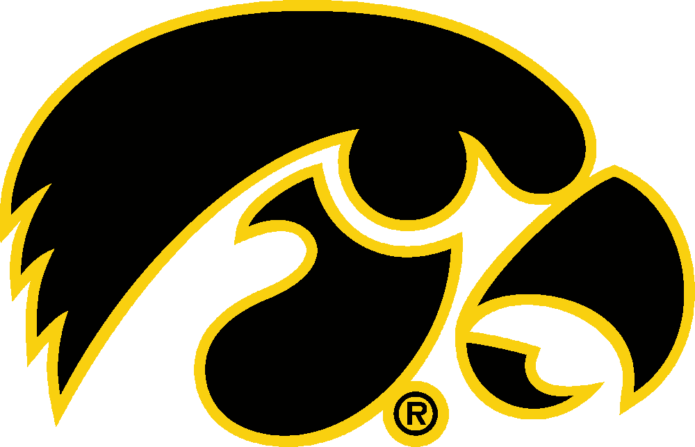 Iowa Hawkeyes stencil, painted in 2 colors