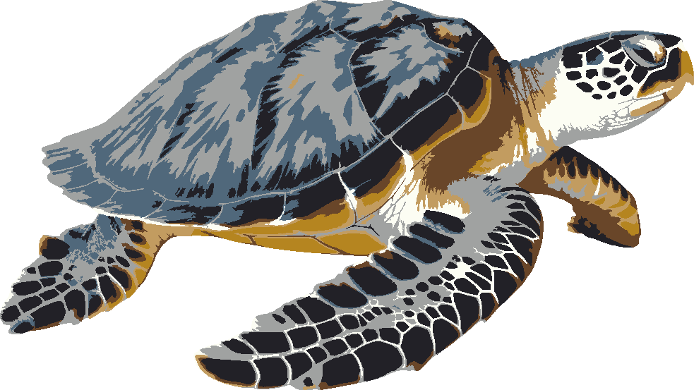 Sea Turtle stencil, painted in 7 colors