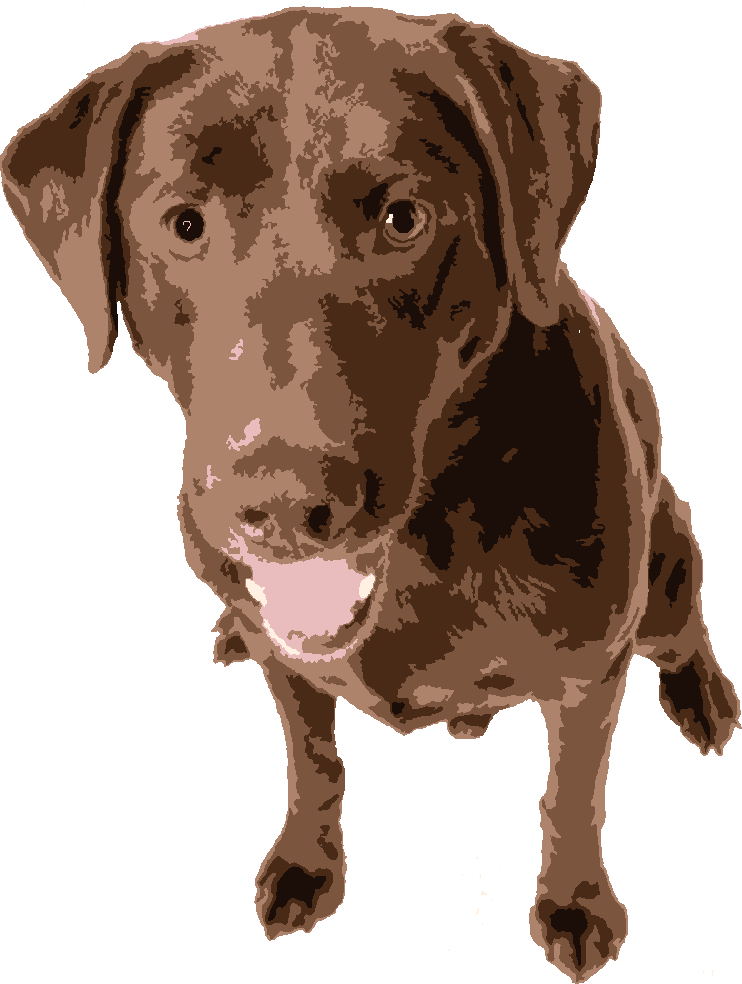 Chocolate Lab stencil, painted in 6 colors