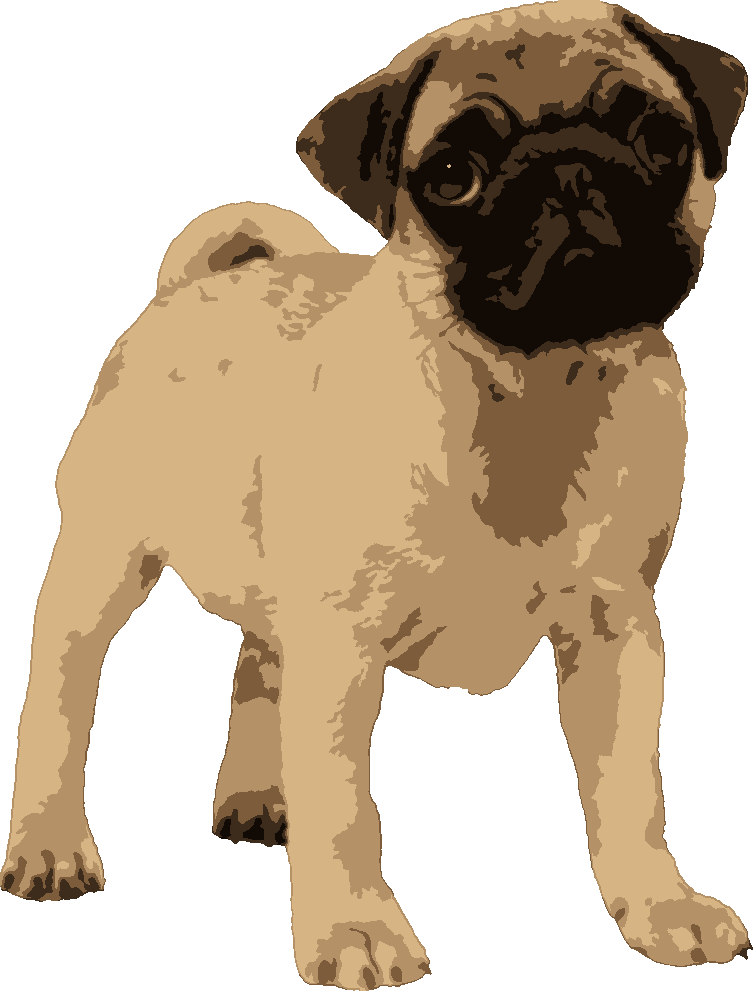 Pug Puppy stencil, painted in 5 colors