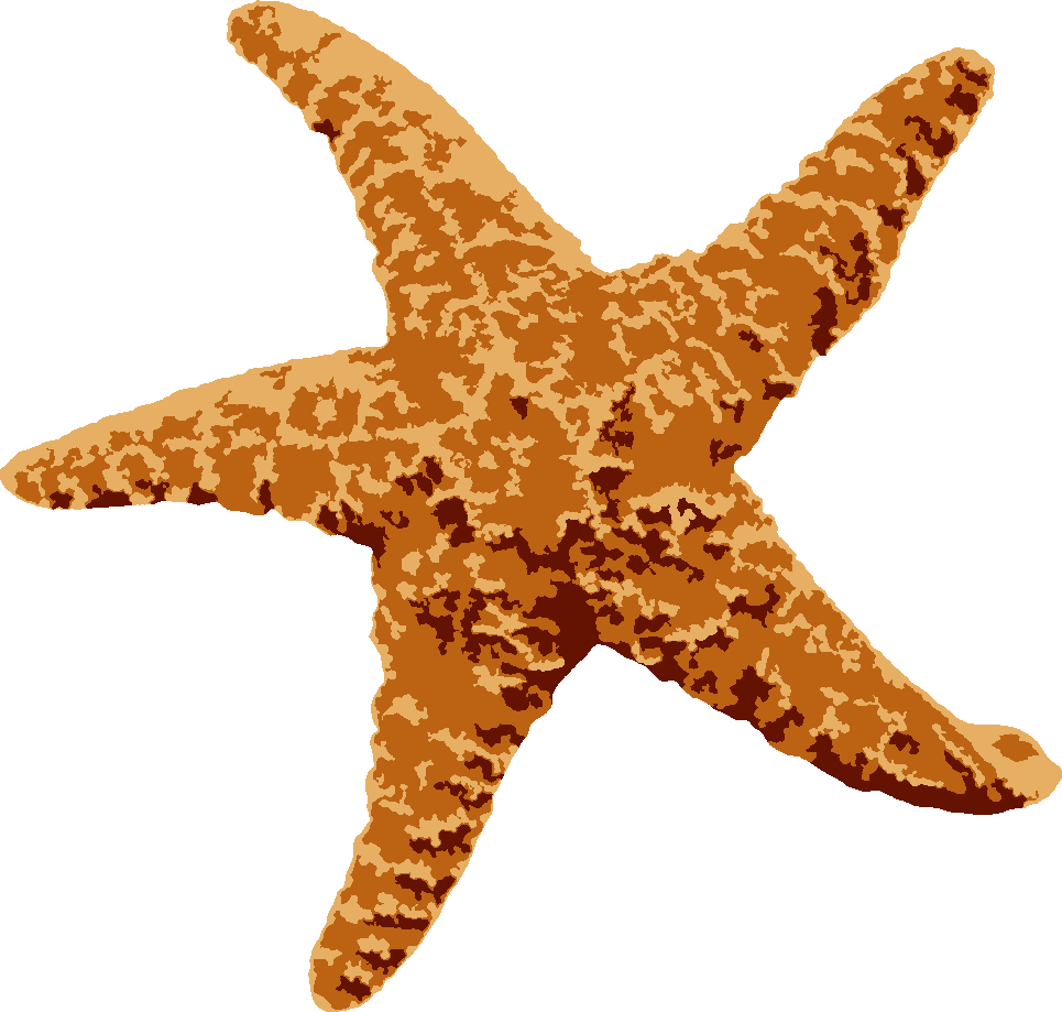 Starfish stencil, painted in 3 colors