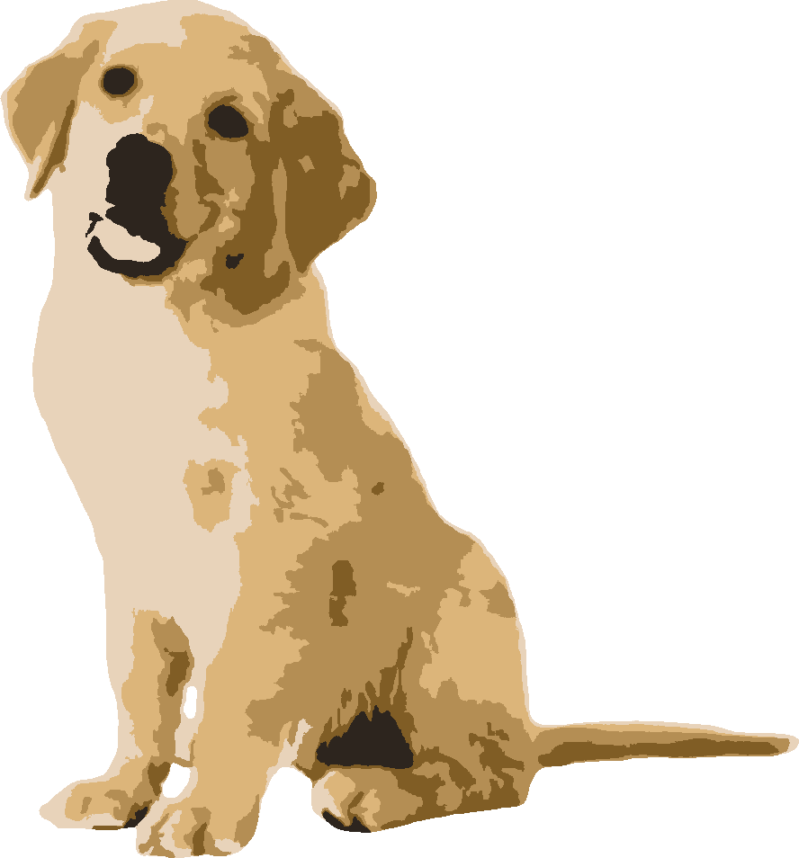 Golden Retriever Puppy stencil, painted in 5 colors