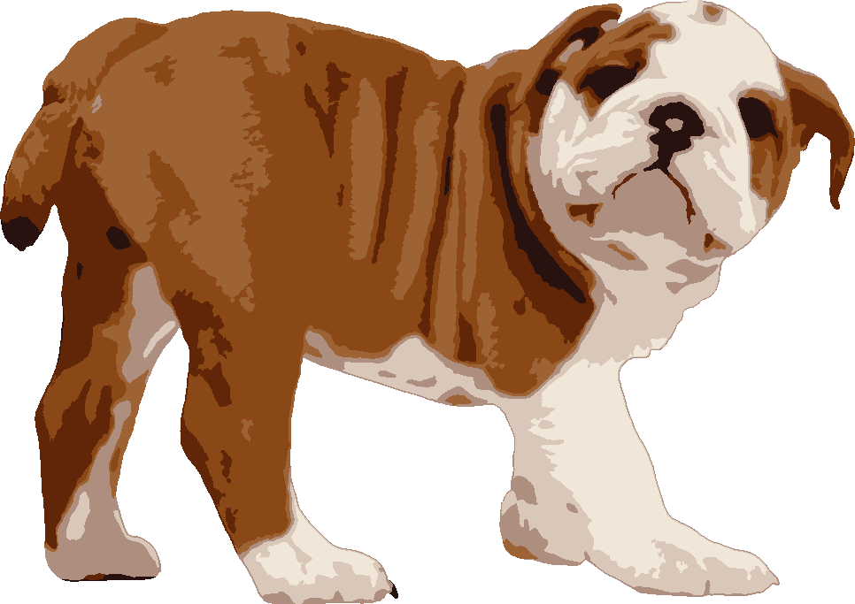 Bulldog stencil, painted in 7 colors