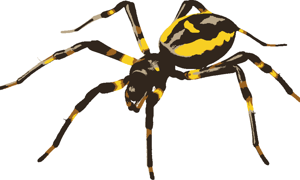 Spider stencil, painted in 4 colors