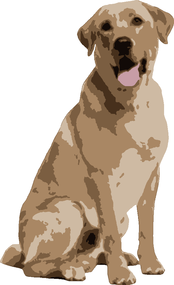 Labrador Retriever stencil, painted in 6 colors