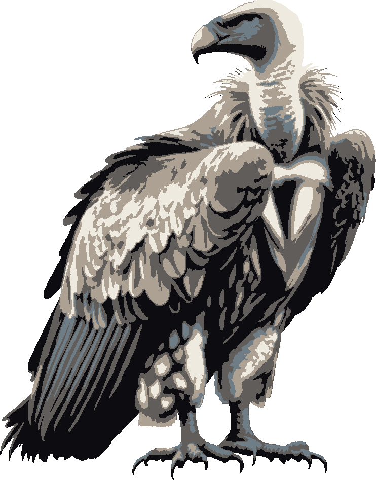 Vulture stencil, painted in 5 colors