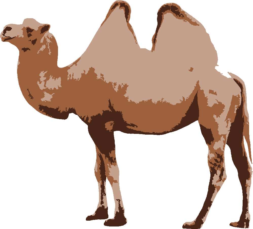 Camel stencil, painted in 3 colors