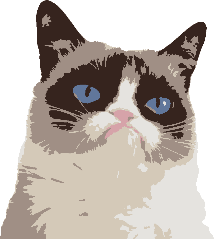Grumpy Cat stencil, painted in 6 colors