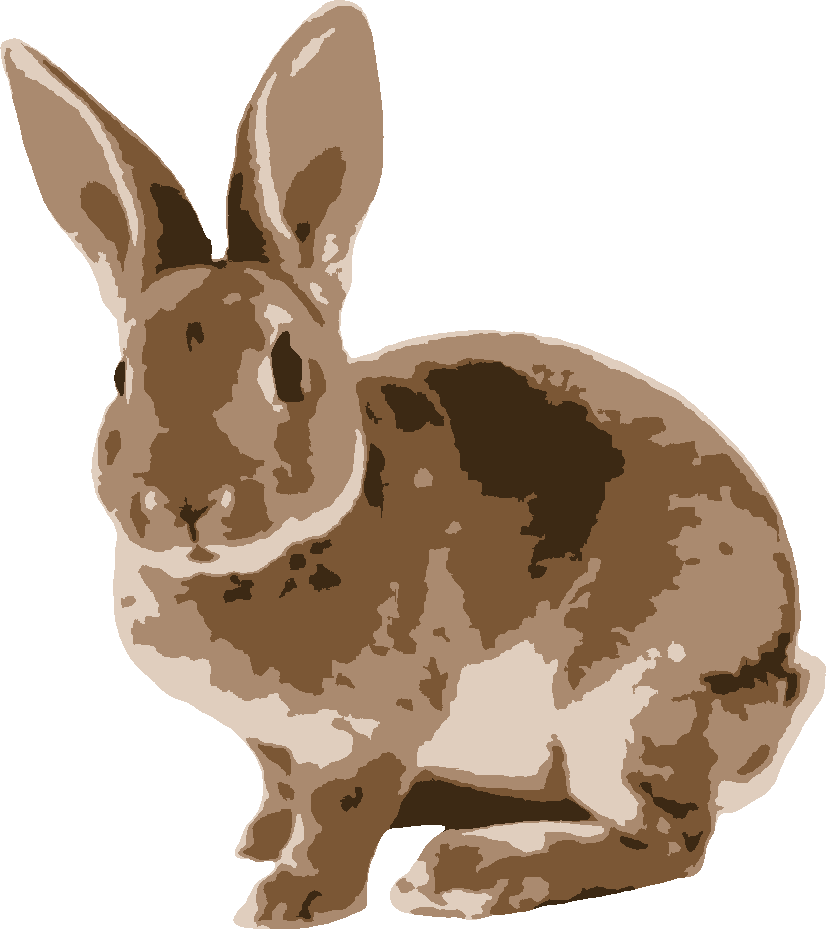Rabbit stencil, painted in 4 colors