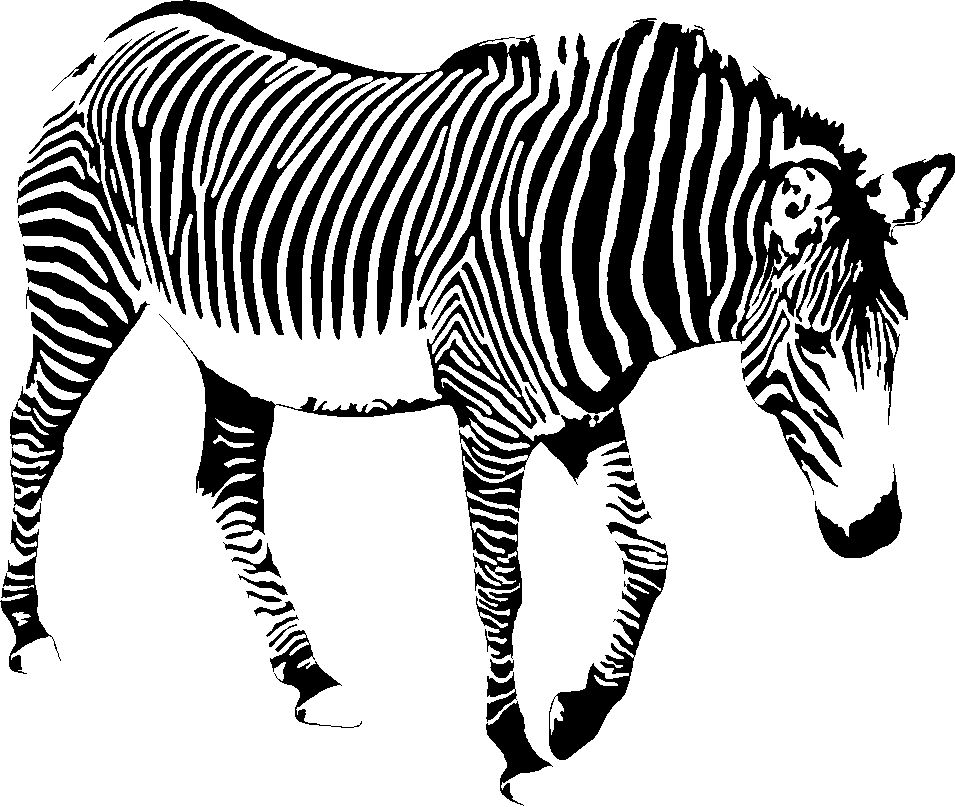 Zebra stencil, painted as a single layer