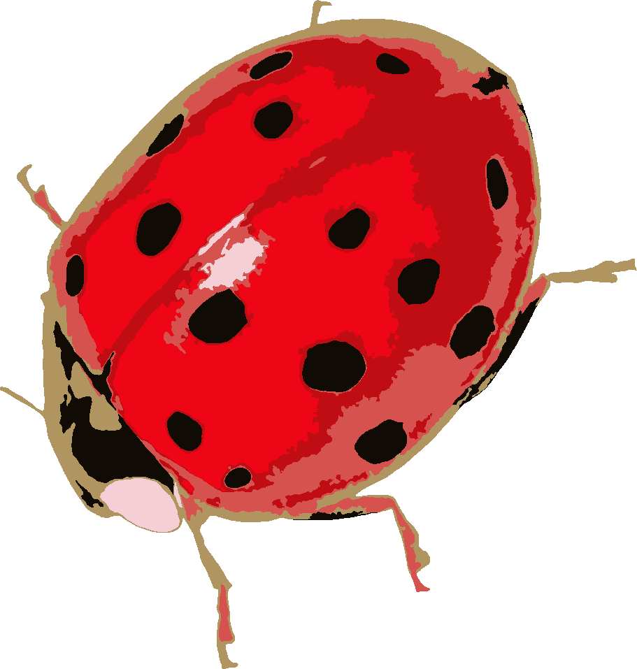 Ladybug with Lots of Spots stencil, painted in 6 colors