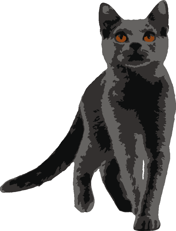 Gray Cat stencil, painted in 4 colors