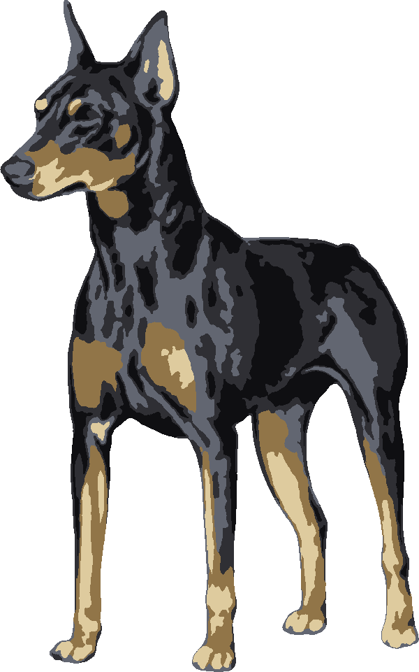 Doberman Pinscher stencil, painted in 5 colors