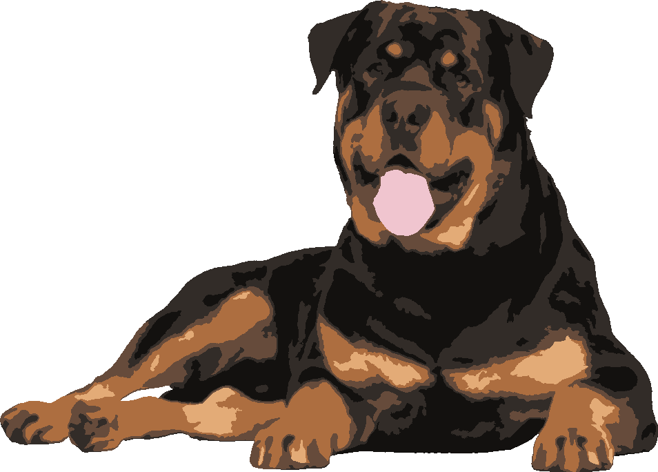 Rottweiler stencil, painted in 6 colors