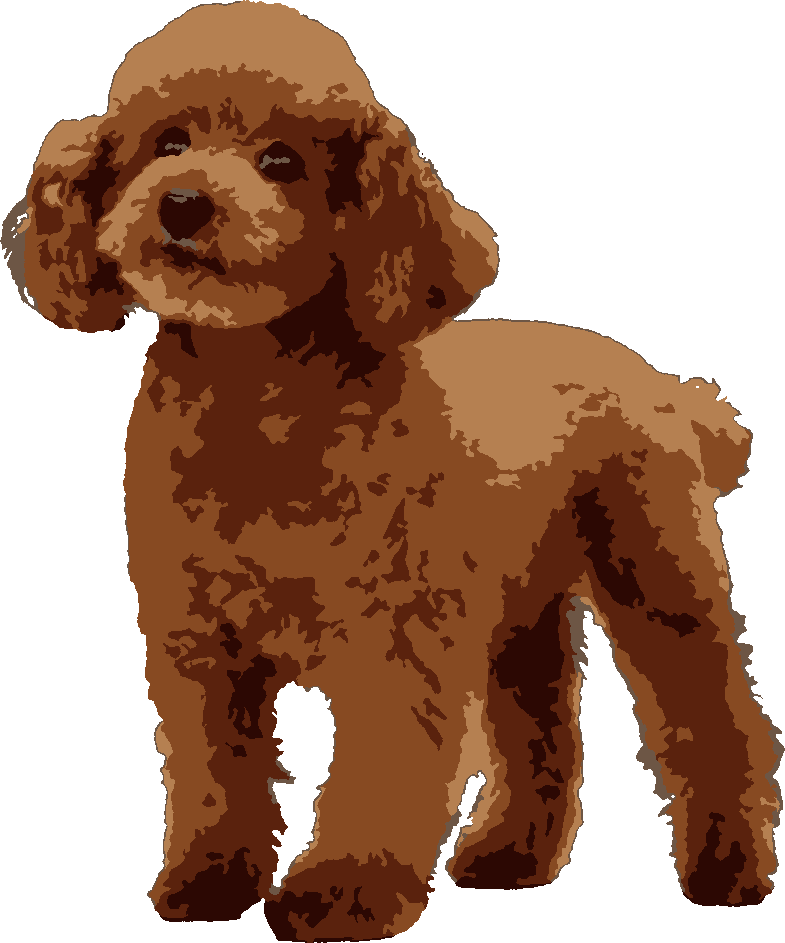 Poodle stencil, painted in 5 colors
