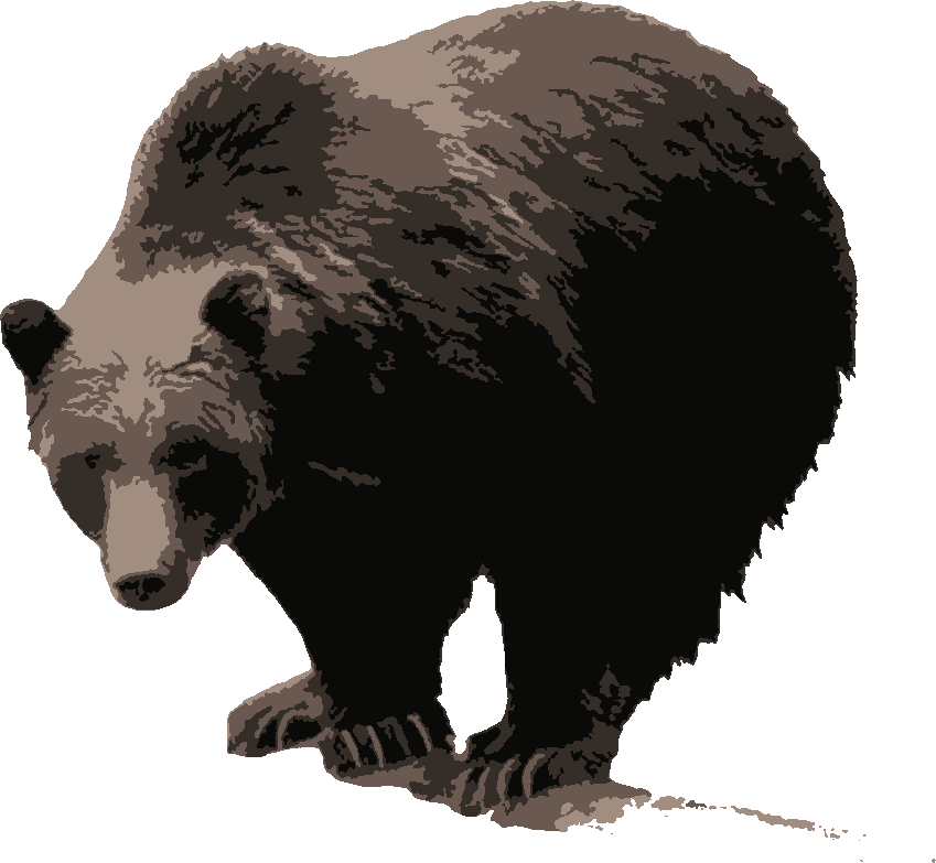 Grizzly stencil, painted in 4 colors
