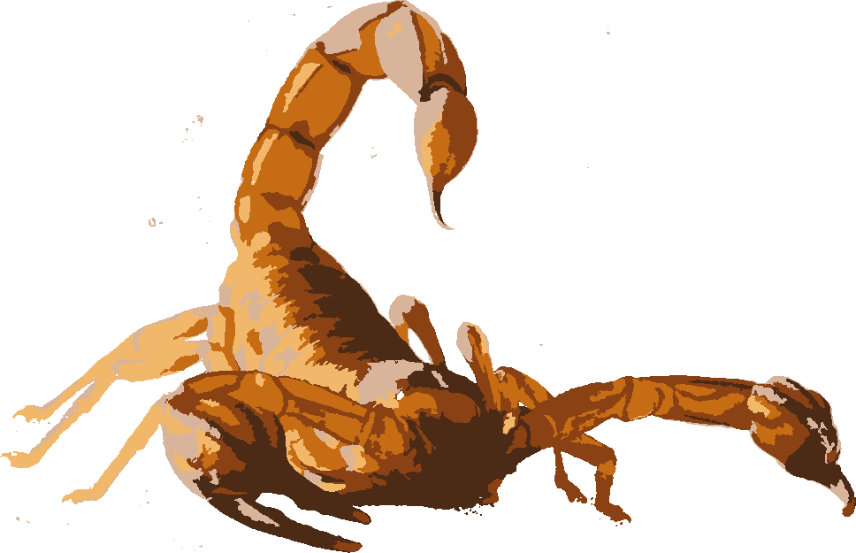 Scorpion stencil, painted in 5 colors