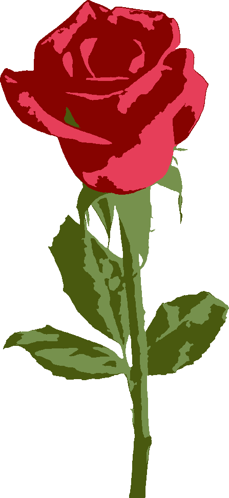 Single Rose stencil, painted in 4 colors