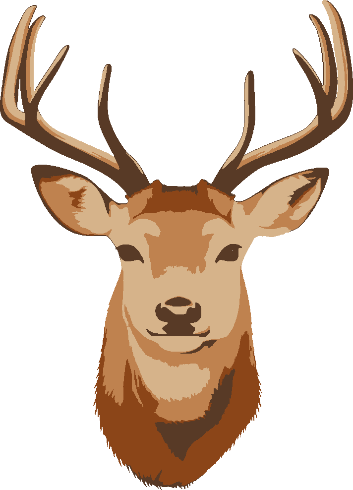 Deer Head Trophy stencil, painted in 4 colors