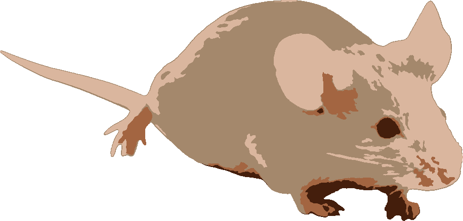 House Mouse stencil, painted in 4 colors