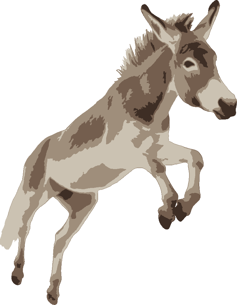 Jumping Donkey stencil, painted in 4 colors