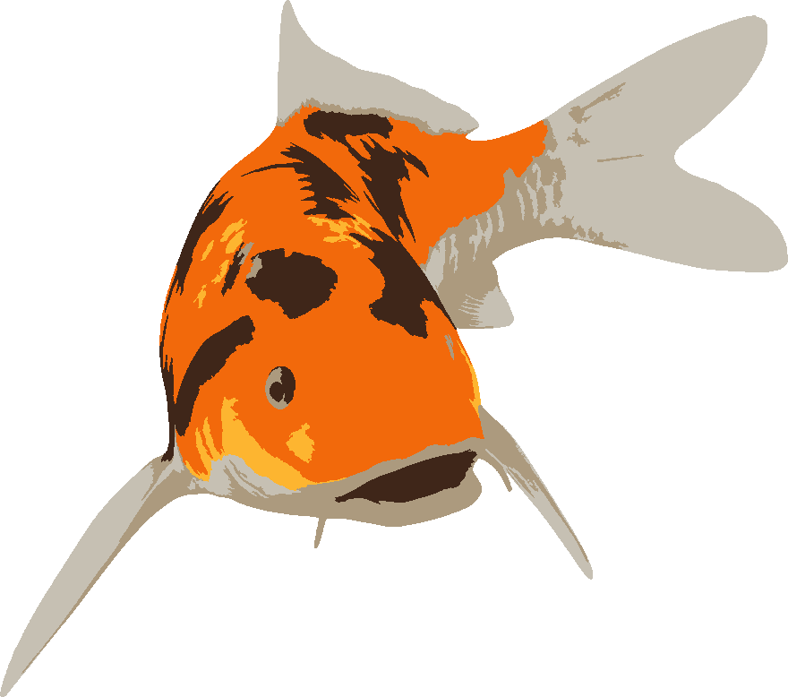 Koi stencil, painted in 5 colors