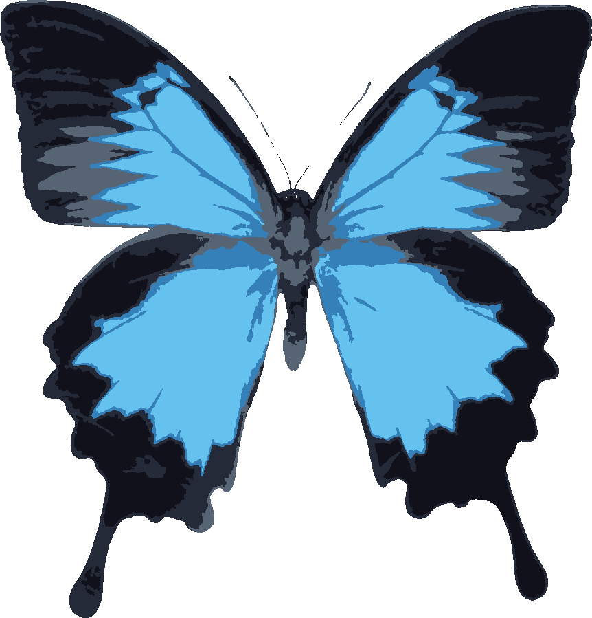 Ulysses Butterfly stencil, painted in 5 colors