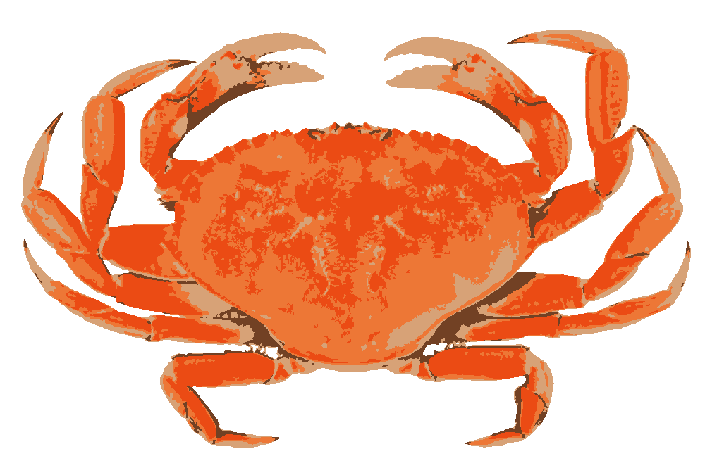 The Crab stencil, painted in 4 colors