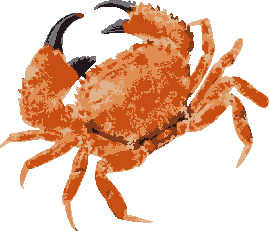 Dungeness Crab stencil, painted in 6 colors