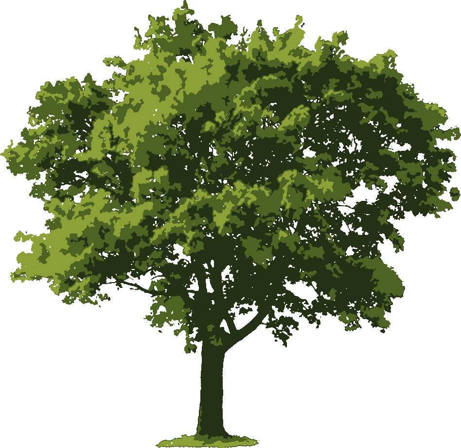 Oak Tree stencil, painted in 3 colors