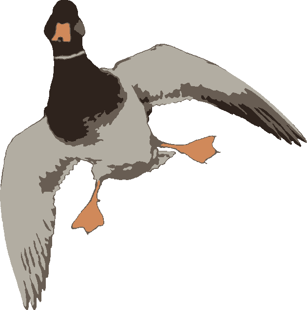 Duck stencil, painted in 4 colors