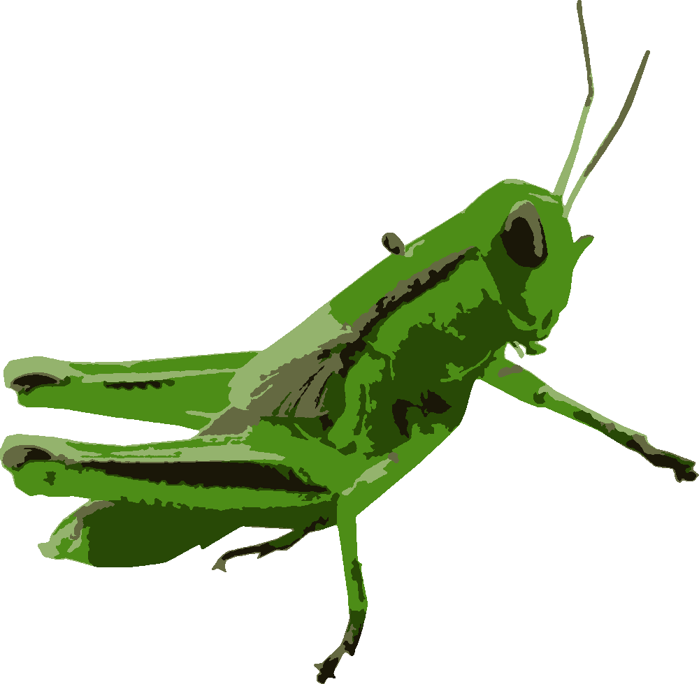 Grasshopper stencil, painted in 5 colors
