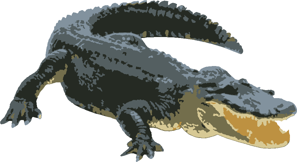 Crocodile stencil, painted in 6 colors