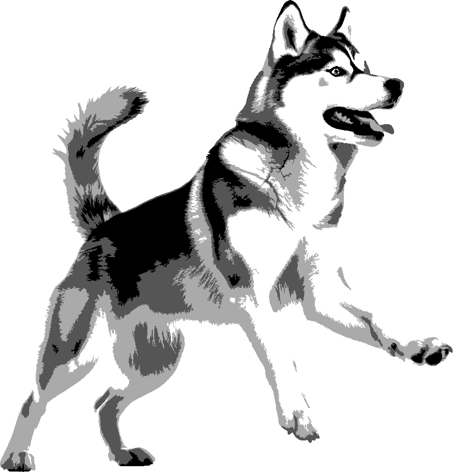 Husky stencil, painted in 4 grays