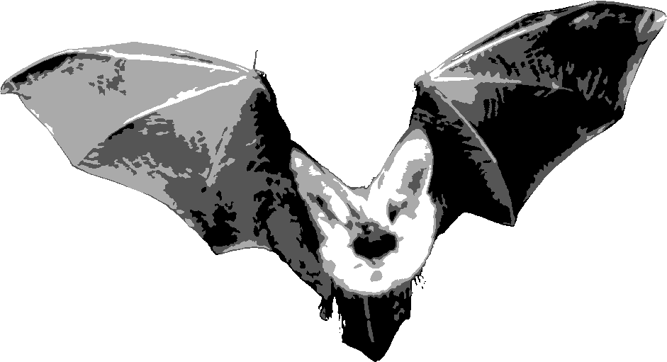 Bat stencil, painted in 4 grays
