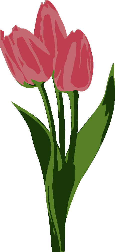 Tulips stencil, painted in 4 colors