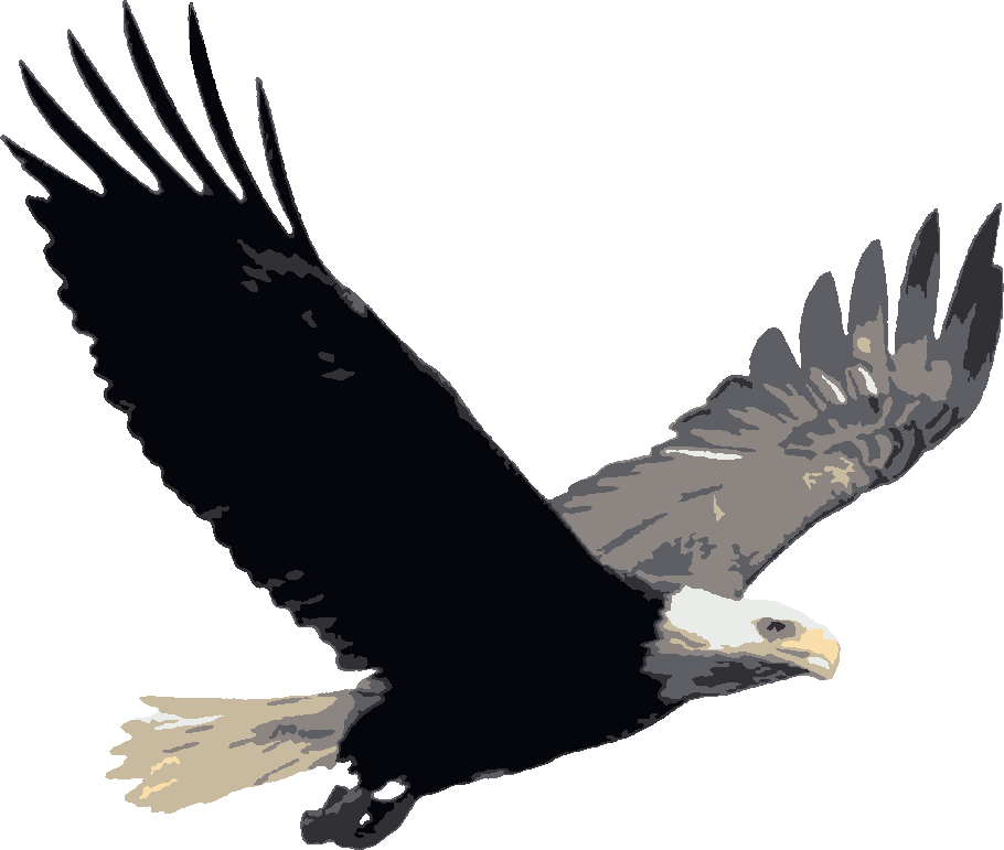 Bald Eagle – Soaring stencil, painted in 7 colors