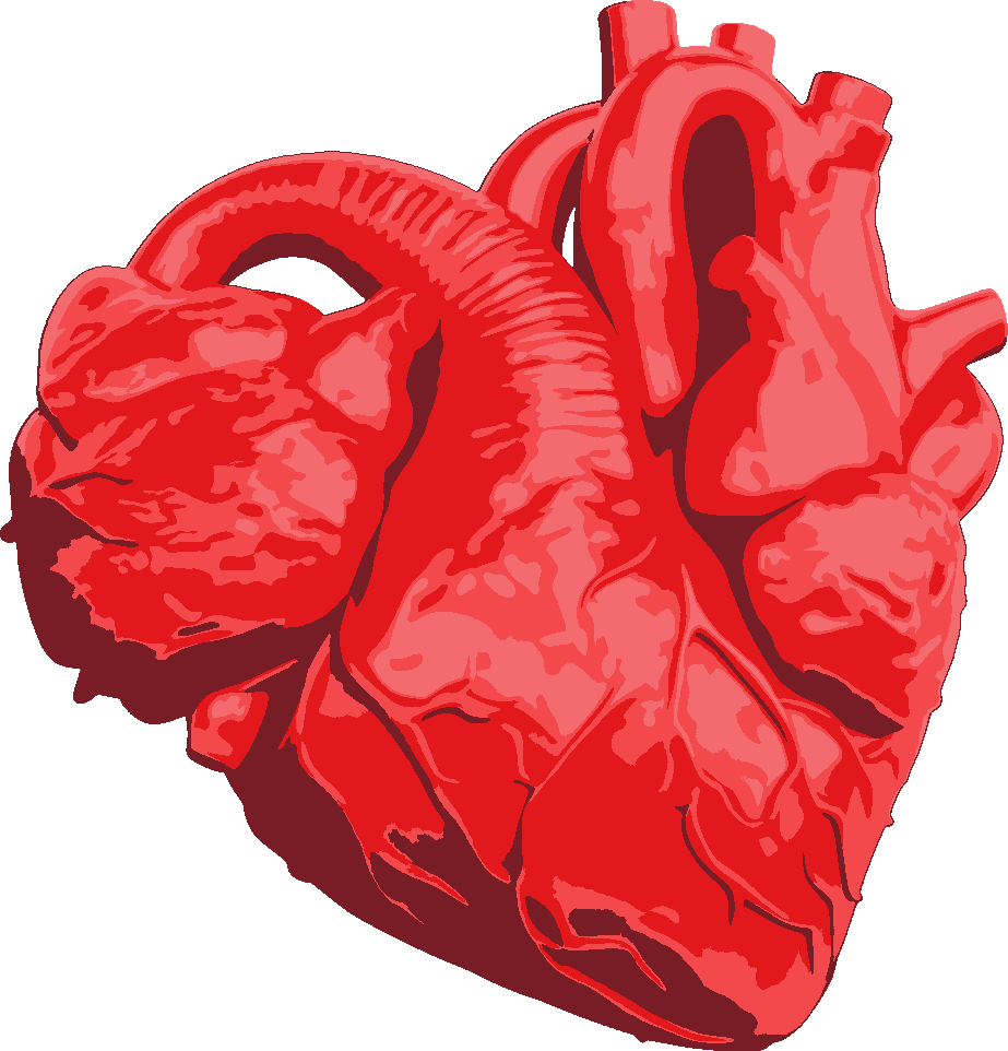 Heart-shaped Heart stencil, painted in 4 colors