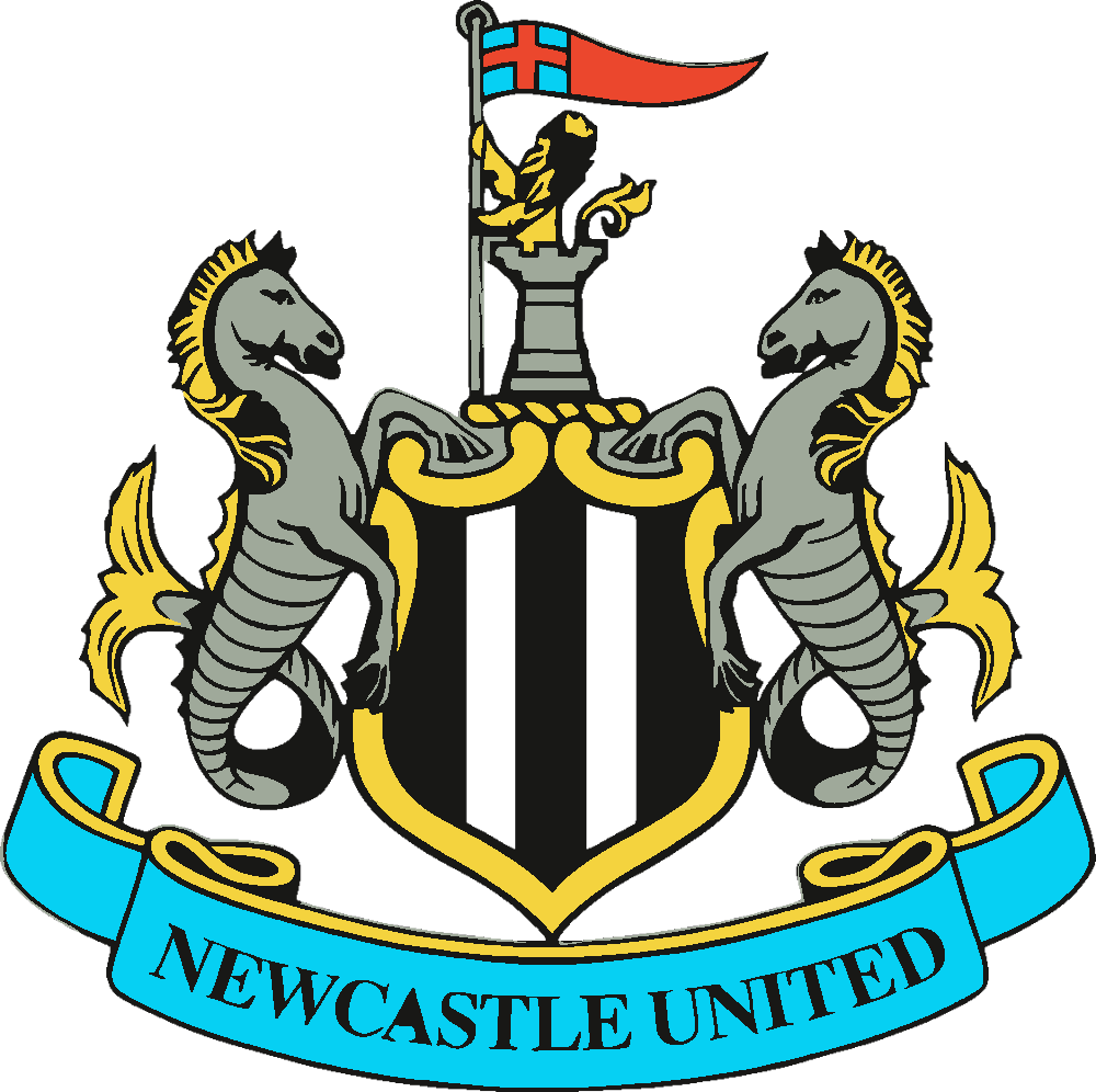 Newcastle United stencil, painted in 5 colors