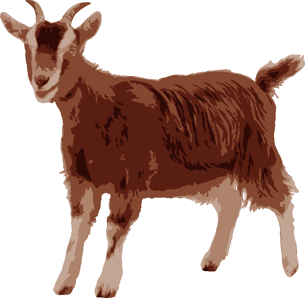 Pygmy Goat stencil, painted in 5 colors