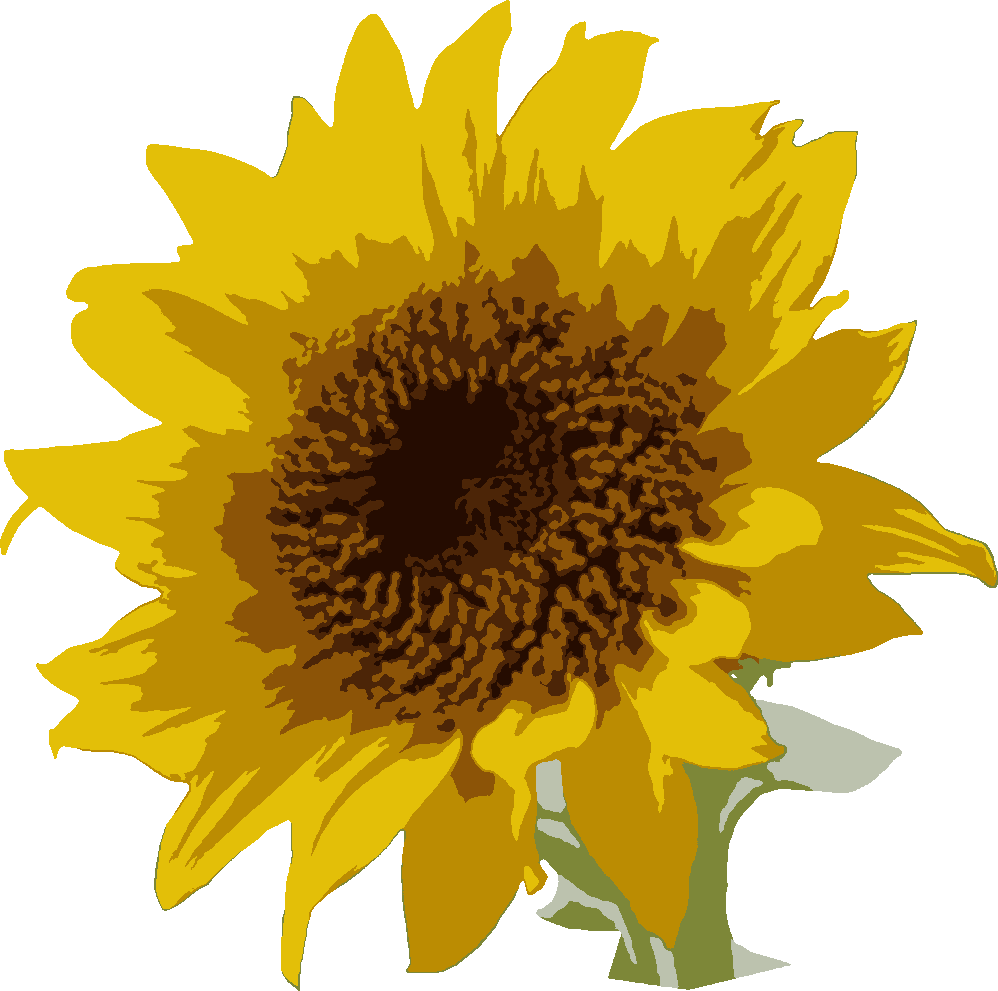 Sunflower in Colors stencil, painted in 7 colors