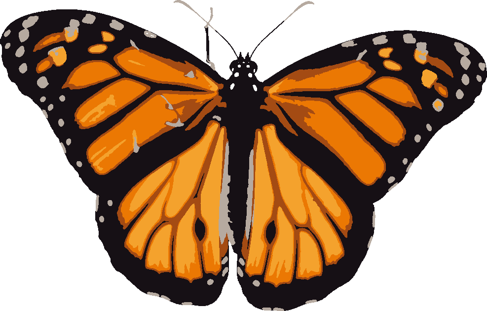 Orange Monarch stencil, painted in 5 colors