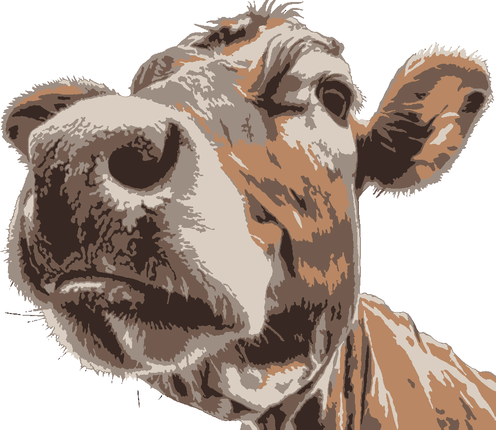 Curious Cow stencil, painted in 5 colors