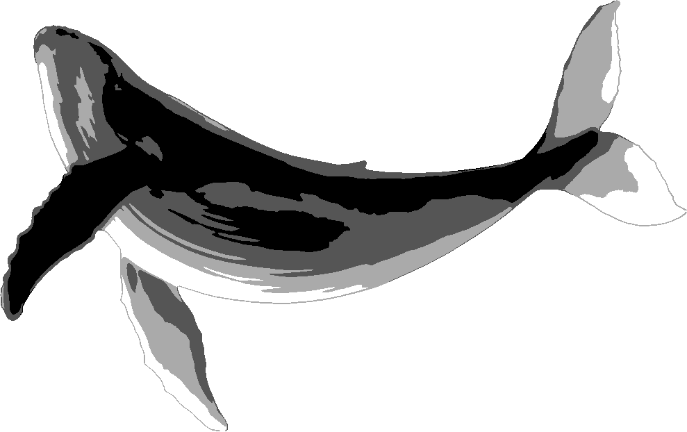 Whale stencil, painted in 4 grays