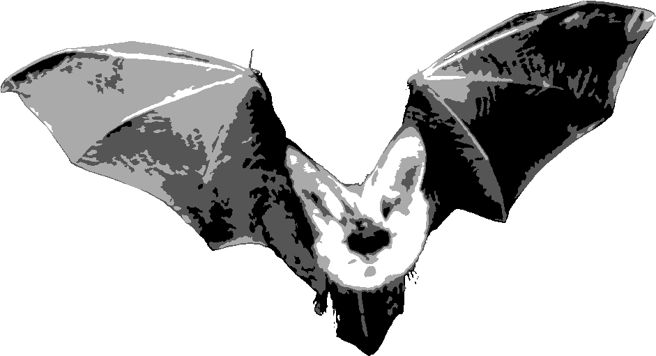 Bat stencil, painted in 4 grays
