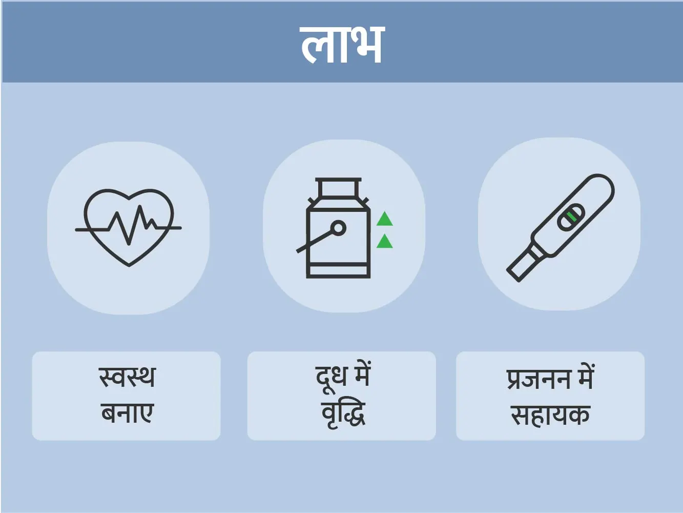 how to draw sources of fats I fats food drawing I संतुलित भोजन का चार्ट  Drawing कैसे बनाये | - YouTube